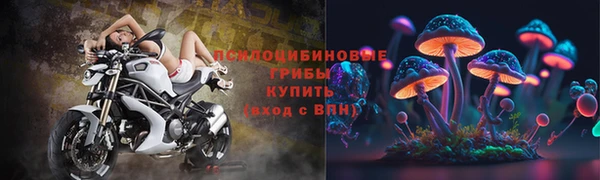 прущий лед Магас