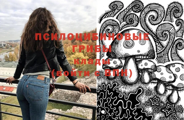 бошки Арсеньев